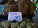 Durian Durio Adans a annona